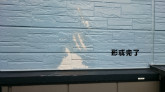 実績紹介